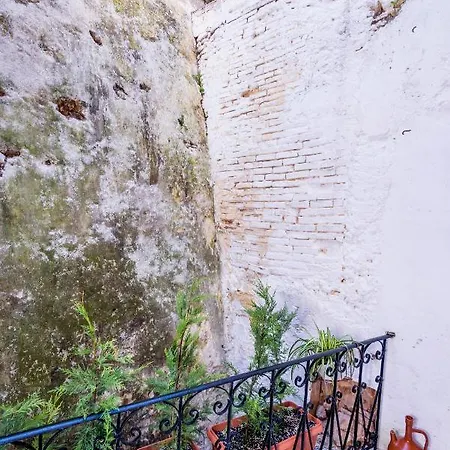 Alegria Inn Chania (Crete)